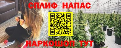 гашик Гусь-Хрустальный