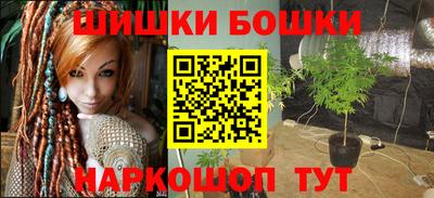 гашик Гусь-Хрустальный