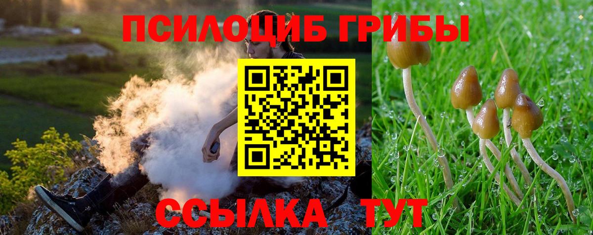 Россия  Галлюциногенные грибы Cubensis  Вход с VPN 