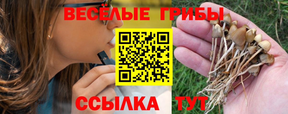 Галлюциногенные грибы Magic Shrooms Россия